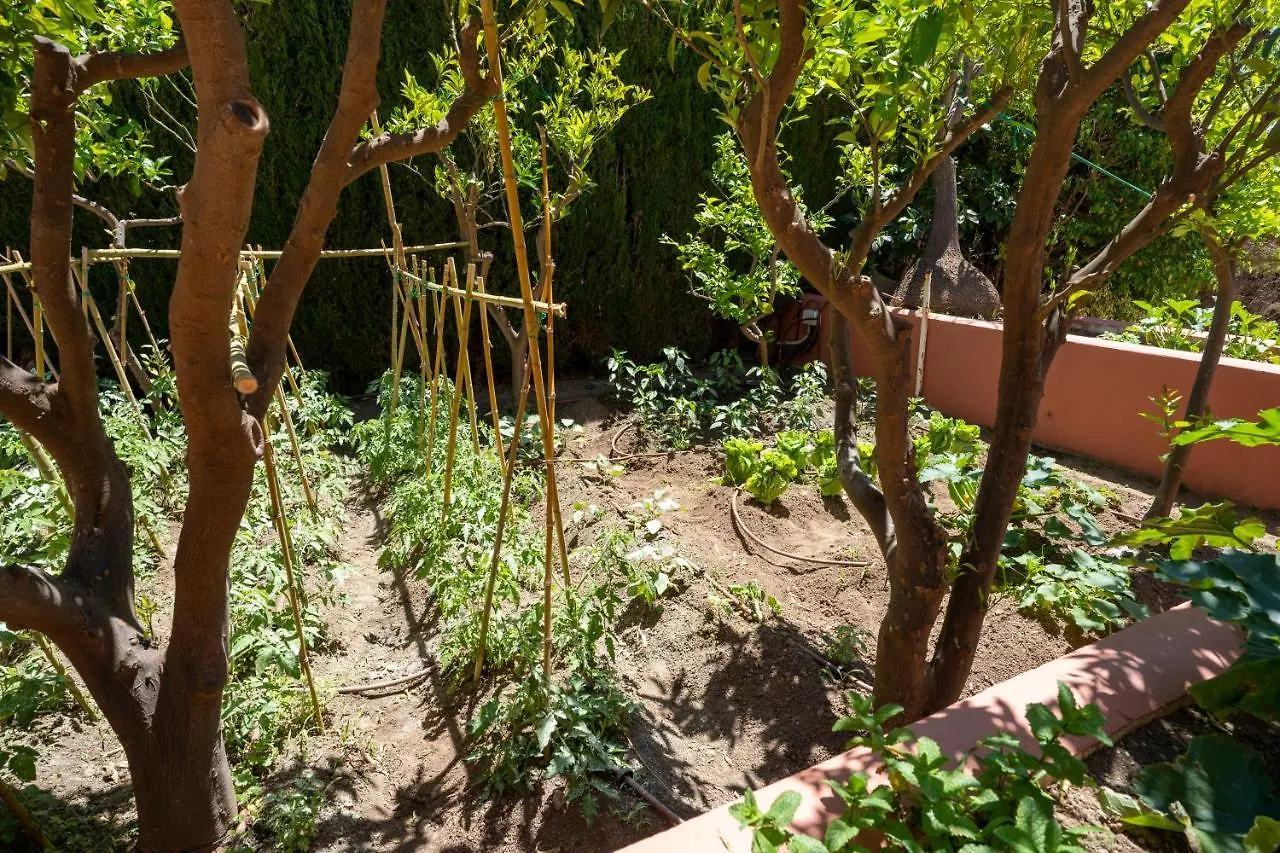 Villa De Lujo Para Familias Y Empresas Mijas Spain
